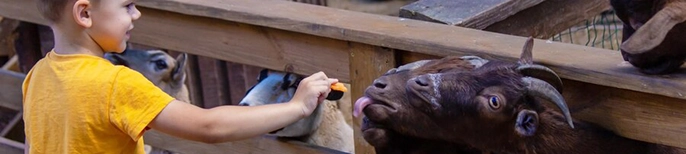 cómo organizar vacaciones con TDAH